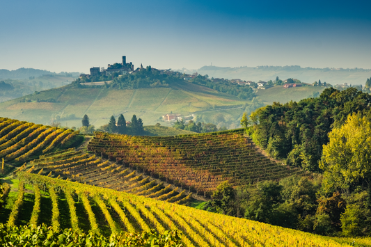 The Elusive Beauty of Nebbiolo: Decoding the Best Vintages of Piedmont's Red Royalty
