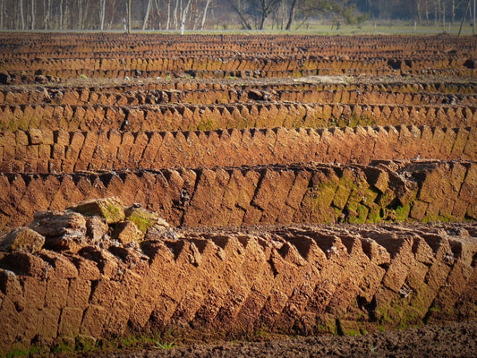 The Coming Peat War