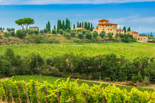 Decoding Chianti Classico: Unlocking the Magic of Tuscany's Best Vintages