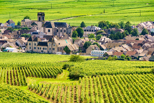 Great Vintages of Burgundy: A Look at Wine's Best Years in Arguably the Greatest Wine Region of France
