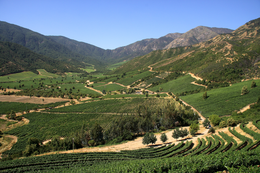 Maipo Valley's Vintage Tango: Unraveling the Secrets of Chile's Cabernet Powerhouse