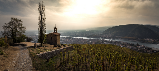 A Look at Wine's Best Vintages in the Rhône Valley: Get Your Syrah and GSM On